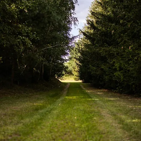 度假居 Holenderski