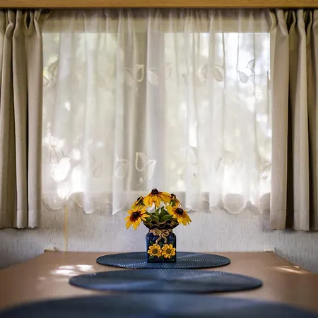 度假居 Holenderski