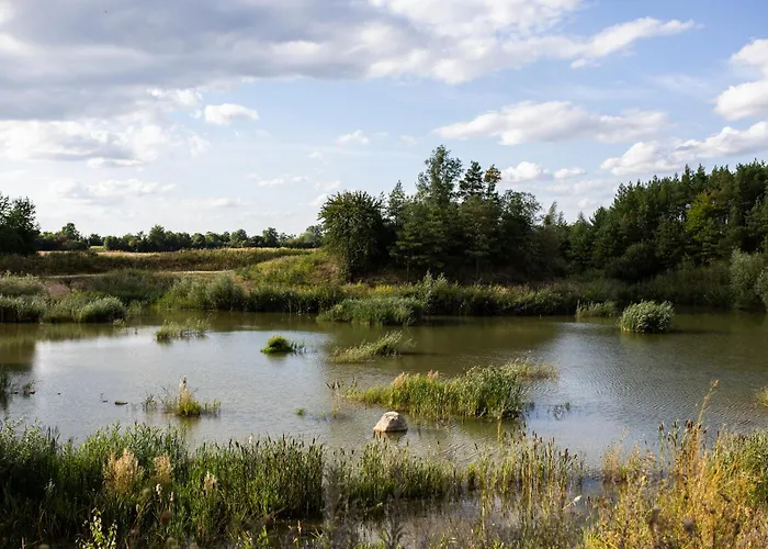 Casa vacanze Holenderski *
