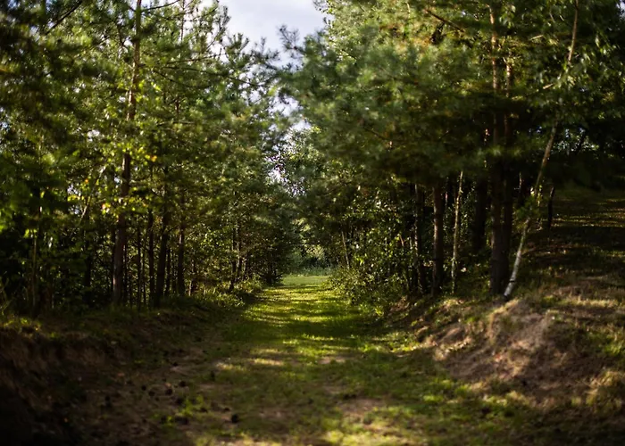 Casa vacanze Holenderski *